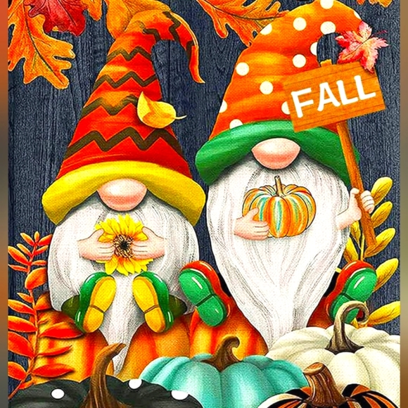 Set of 2 Fall Gnomes NWT - Picture 8 of 8
